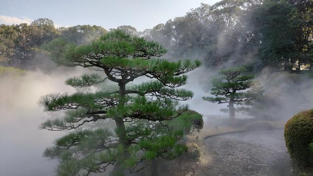 Photo of a park on a sunny morning. In the foreground is a stone path, with two trees. Just behind the trees is a thick mist, almost like fog. In the background is a line of trees.