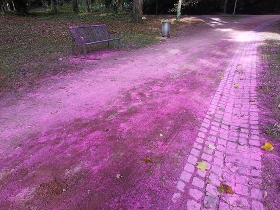 Photographie numérique couleur en format paysage.
Une allée dans un parc vue en perspective, avec des pigments rose vif sur le sol en terre.
L'allée est bordée d'une rigole en pierres carrées, d'un banc, d'une poubelle et d'herbe verte.