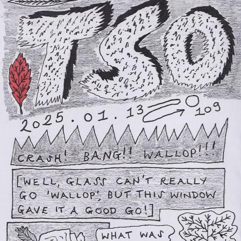 The cover of an A6 comic/zine, illustrated in black ink with drawings of leaves and the letters T S O.