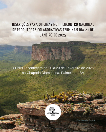 Imagem de uma montanha na chapada Diamantina