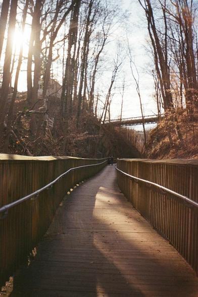 Film photo of a boardwalk along a formerly trolley track, now walking trail, cut into a hillside. Bridge above. Winter sun casts long shadows and lens effects.