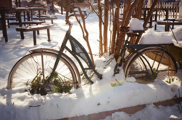 Film photo,  vintage bicycle garden shop display in several inches of snow. Picnic tables, also snow covered,  and bare crepe myrtle(?) Tree.
