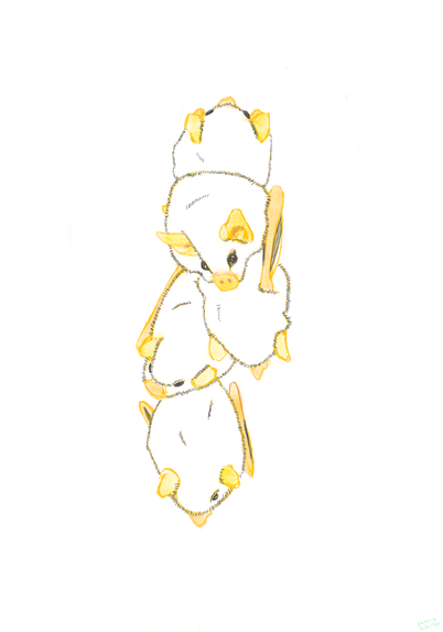 A drawing of 5 honduran white bats stacked on top of eachother. They look like little cotton balls with yellow features. They are all looking away from the camera except for second from the top, who is looking kind of at the camera person with a little twinkle in their eye. The drawing is done in procreate on an ipad using black ink and yellow water color. The bats sit at the center of the page with taking up 1/3 horizontal space with white blackground surrounding them. It is signed by DOMO on 13 February 2025.