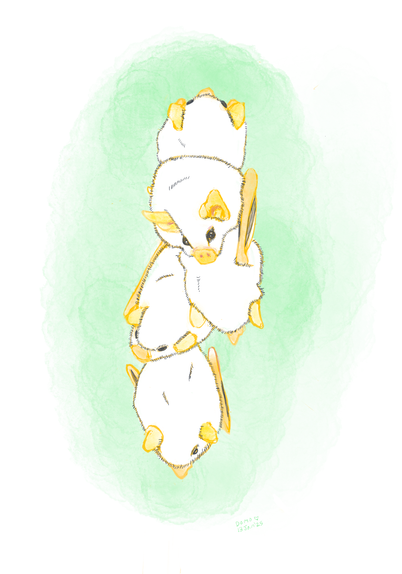 A drawing of 5 honduran white bats stacked on top of eachother. They look like little cotton balls with yellow features. They are all looking away from the camera except for second from the top, who is looking kind of at the camera person with a little twinkle in their eye. The drawing is done in procreate on an ipad using black ink and yellow water color. The bats sit at the center of the page with a soft green dry watercolor brush around them giving them a sort of green glow. It is signed by DOMO on 13 February 2025.
