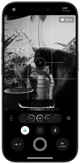 A screenshot of Obscura with a black and white filter enabled