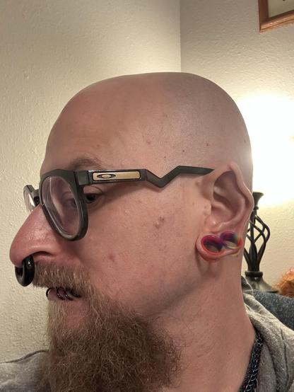 A close-up profile of a bald individual wearing large glasses. The person has a thick beard and multiple facial piercings, including a circular black nose ring and several rings in the lower lip. Ear mods are visible, featuring colorful, double lobe tunnels, and the ear is pointed.