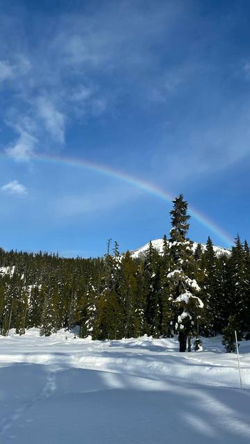 A snow-covered landscape with varied patches of snow leading into a dense evergreen forest. A rainbow stretches across the upper third of the image, contrasting against a clear blue sky with soft white clouds. The foreground shows smooth, untouched snow, while the background features a hilly silhouette of snow-covered mountains. The composition is balanced with the rainbow positioned diagonally, creating a dynamic visual effect amidst the winter scenery.