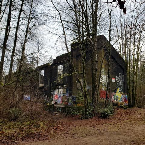 A dilapidated building with stone walls partially obscured by vibrant graffiti artwork. Its flat roof is lined with moss, and multiple empty windows are apparent. Surrounding the structure are bare trees without leaves and scattered underbrush, creating a wild, overgrown environment. The ground is covered in brown leaves, and a dirt path leads towards the building. The overall lighting is dim, suggesting a cloudy atmosphere.