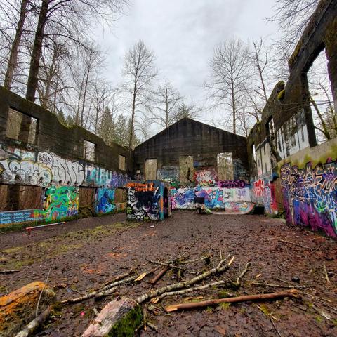 An interior view of a ruined building constructed from dark concrete, with the walls adorned in vibrant graffiti art. Vertical and horizontal lines from the walls create a geometric framework. The floor is muddy and littered with branches, enhancing the abandoned feel. Tall, leafless trees frame the scene, while a gray sky looms overhead, providing soft, diffused lighting that contributes to the melancholic mood. The graffiti varies in color and style, adding splashes of brightness to the otherwise somber environment.