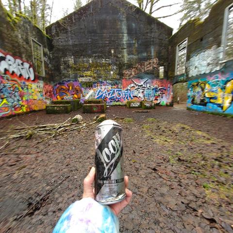 A wide-angle view of an abandoned building with walls adorned in diverse graffiti art, including bright colors and intricate designs. The foreground features a hand holding a large, metallic spray paint can, partially in focus, while the background displays the rugged ground made of dark stones, scattered branches, and moss patches. Dim natural light filters through the trees outside, enhancing the somber yet creative atmosphere.