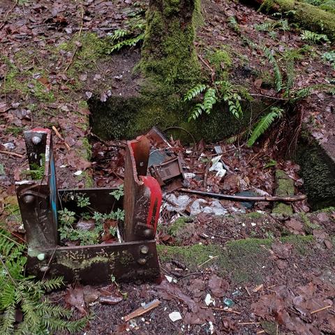 A rusty, fragmented metal structure, likely a remnant of industrial equipment, positioned near a tree trunk in a forested area. The foreground consists of damp, earthy ground covered with a layer of brown leaves and ferns. Debris, including a damaged electronic component, is scattered around the base of the structure, which is painted with red and green hues, indicating weathering. Natural light filters through the trees, creating a somber atmosphere.