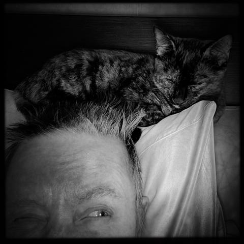 Night. Indoors. In bed. Black and white closeup of a tortoiseshell kitten snoozing on top of my head against the pillows. My wrinkly forehead takes up about 1/4 of the photo. Barely visible is one of my eyes glaring up at her.