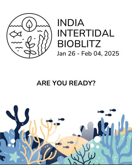 Announcement post for India Intertidal BioBlitz, a citizen science event.

Jan 26- Feb 5, 2025

Are you ready?

(Event to celebrate the coastal biodiversity of India)