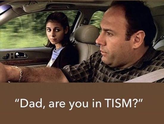 Meadow Soprano in a car with her father asking him “Dad, are you in TISM?”