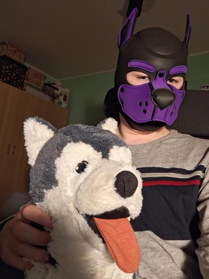 Wearing purple pup mask while holding husky plushie