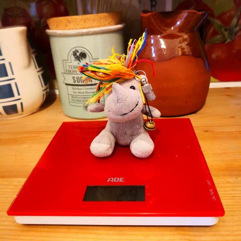 little unicorn Carola sitting on a red electronic balance
