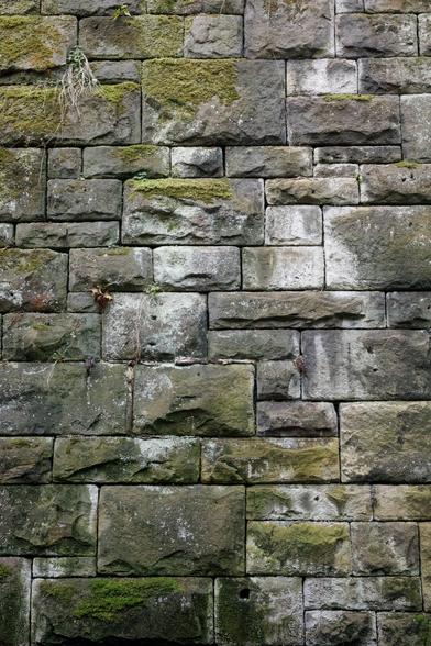 Stone blocks of varying shapes and sizes, very neatly rectangular but with rugged front faces - all packed together without visible mortar, in a random but ordered pattern to form an imposing, extremely sturdy-looking wall. Moss and algae cover the upper-facing parts of the rugged fronts, while silvery salt deposits lighten other areas.