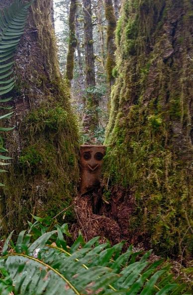A wooden owl carving set centrally between two thick, vertical tree trunks, both covered in dense green moss. The owl, with exaggerated round eyes and a simplistic, friendly face, emerges from a crevice at the base of the trees. A cluster of ferns occupies the foreground, with their fronds extending outward. The background depicts a soft-focus of other trees and foliage, creating a serene forest atmosphere under diffused lighting.