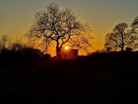 Sun setting in Parliament Hill one winter day, behind abare tree and a hut on the hill; golden/orange sky.