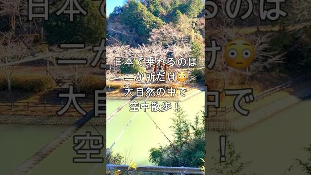 日本で2カ所だけ！人力ロープーウェイで空中散歩体験！#shorts #japan #旅行 #観光 #家族 #楽しい #お寺 #散歩 #空中散歩 #静岡 #菊川市 #永寳寺 #野猿
