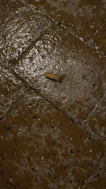 Icy paving stones. Like icing on cake.
An extinguished cigarette is in the middle of the picture