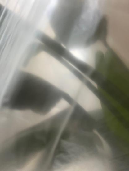 The leaves of a houseplant, I don’t know the species but big broad leaves on stalks, covered in the thin translucent plastic sheeting used to protect furniture when reddecorating. The effect, with the light behind them, is to outshine the shapes of the leaves arcing diagonally towards upper left, in shadow against a misty veil.
