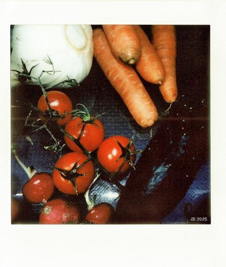 Etwas dunkles Instant-Farbfoto, das Gemüse - Fenchel, Karotten, Kirschtomaten, Radieschen und eine Gurke - in einer Kühlschrankschublade zeigt.