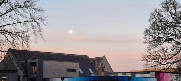 Morning moon