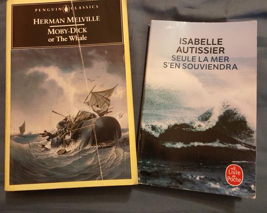Deux livres que je lis/relis en parallèle, Moby Dick et "Seule la mer s'en souviendra" d'Autissier.