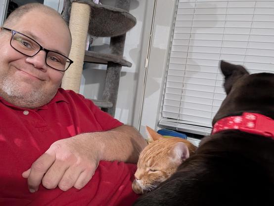 Selfie of me with Pepper (Black Lab / Staffy mix) and Obi (orange cat) sitting on my lap.