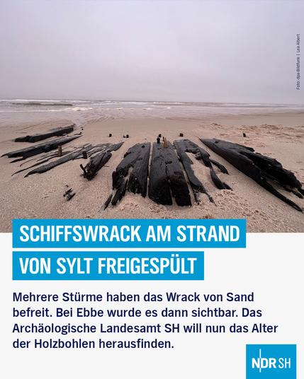 Bild: Verwitterte Holzbohlen liegen im Sand.

Text: Schiffswrack am Strand von Sylt freigespült

Mehrere Stürme habend as Wrack von Sand befreit. Bei Ebbe wurde es dann sichtbar.. Das Archäologische Landesamt SH will nun das Alter der Holzbohlen herausfinden.