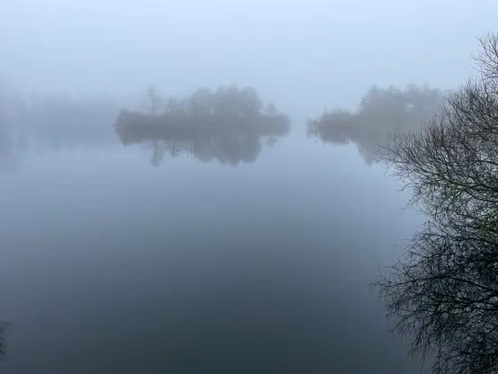Photo of small island in a lake while weather is misty.