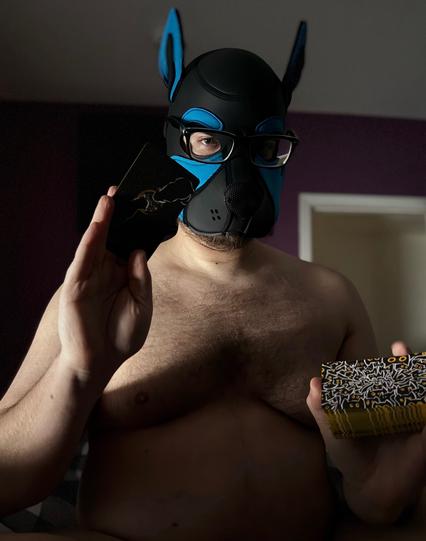 A pup in turquoise neoprene hood holds up a deck of cards on his left paw while showing a single card using the other paw. Through his glasses, the pup has a serious look in his eyes. The dramatic lighting and the dark background adds the gravity and suspension of the scene