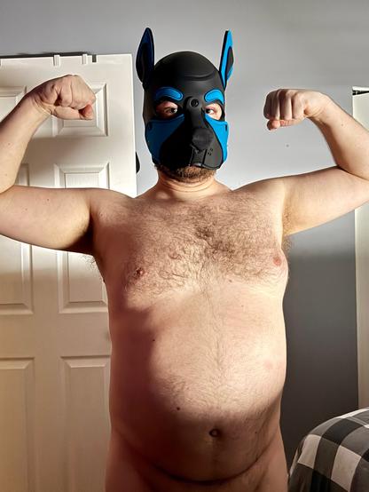 The powerful Pup Mikeybear flexes his arms before the reading