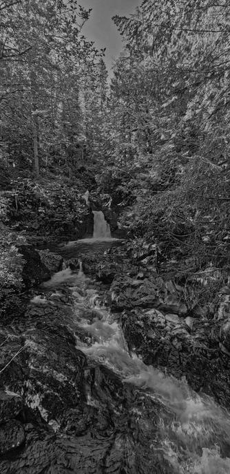 A monochrome photograph capturing a waterfall that flows over rocky formations, creating a small cascade and pooling at the bottom. The composition includes a dense canopy of trees with varied leaf shapes, casting intricate shadows on the rocks. The foreground features rushing water with a smooth texture, while the background fades into darker tree silhouettes, enhancing depth and contrast. The framing emphasizes natural elements, capturing the essence of a secluded forest environment.