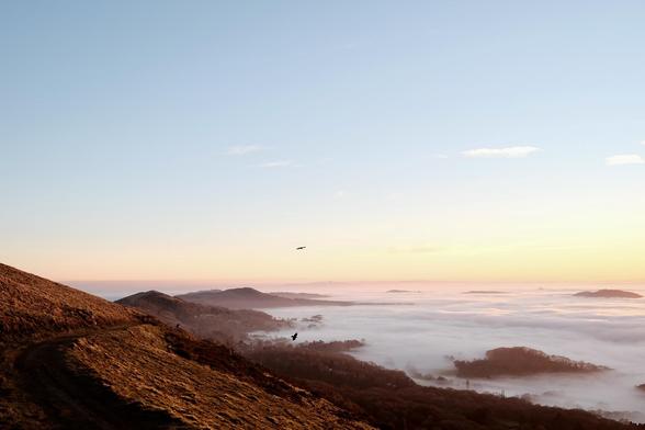 A hillside in the golden light of sunset with a sea of white cloud lapping at its side.