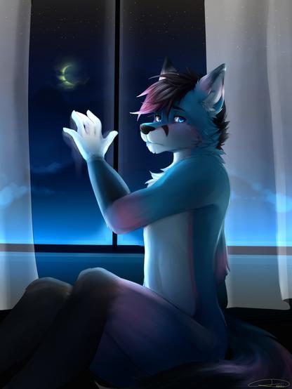 It's an illustration of a cyan blue fox anthro
He also got pink and Black marks and is sitting next to a Window at night with a sad expression