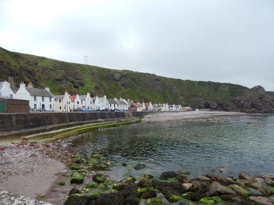 A row of whitewashed houses with red-tiled roofs lines the shore of a small cove. A low, concrete seawall runs in front of the houses. Behind the houses, a grassy hillside rises steeply. The calm water of the cove is visible in the foreground, with rocks covered in green algae along the shoreline and a sandy beach between the wall and the water. The sky is overcast and grey.