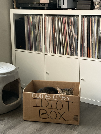Dumb baby