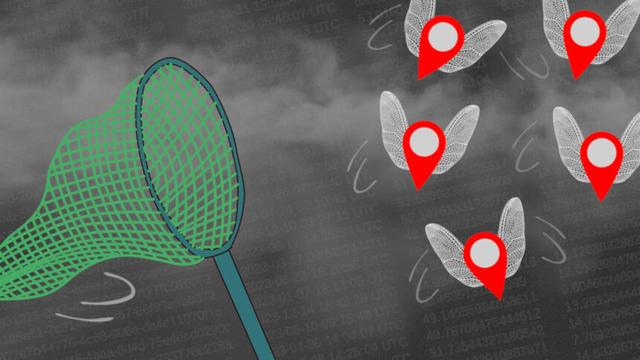 Databroker Files: Sieben Wege, um deinen Standort vor Databrokern zu schützen
