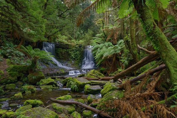 A long exposure of Horeshoe Falls. Soft lighting shows the vibrant rainforest surrounding the falls.