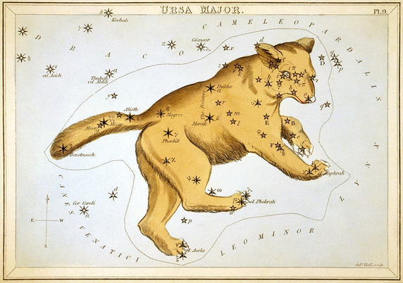 Star may drawing labeled "Ursa Major." The drawing has a large bear along with the main stars in the constellation Ursa Major. Notably, the bear in the drawing has a long tail. This art was created by Sidney Hall in 1825