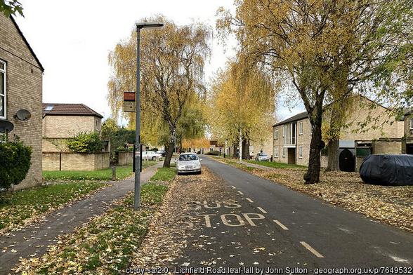 A street of two storey 21st century houses in unadorned pale brick. We are standing in the road looking along it. Each side of the road is planted with tall trees,, rapidly losing their pale golden autumn leaves.  The road, and the grass verges on either side, are littered with the same fallen leaves
