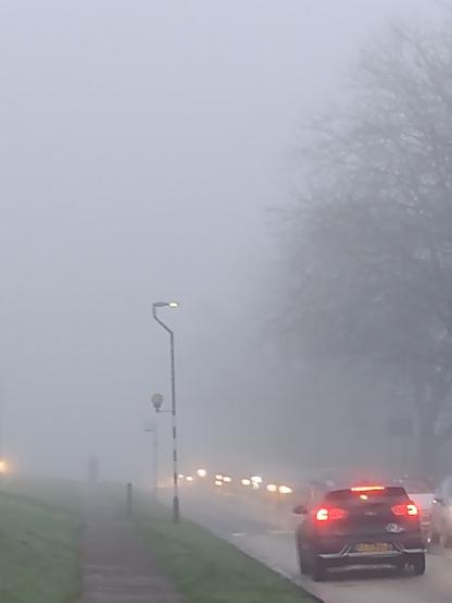 Photo of a street on a foggy day. Nearby objects are clearly visible, while objects further away becomes gradually dimmer and blurrier.