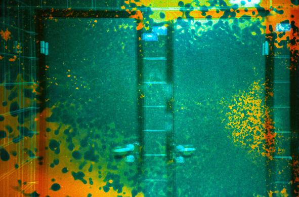 Unknown bleached film / camera

Experimental bleached analog film shot. Lomography.