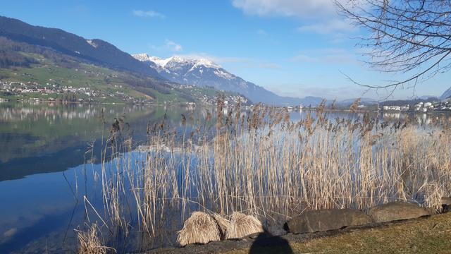 See mit Schilf im Vordergrund und Berghänge im Hintergrund