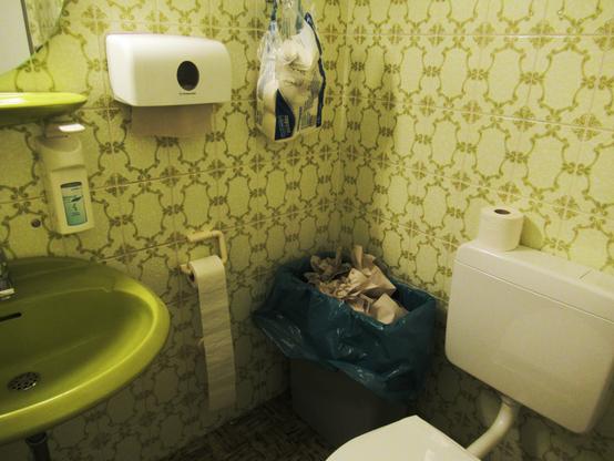 Eine Toilette mit grünem Waschbecken und grün gemusterten Fliesen. Über dem Waschbecken eine grüne Ablage. Desinfektionsmittel und ein Papierhandtuchspender an der Wand, daneben hängt eine Packung Klopapier. Eine weiße Kloschlüssel mit geschlossenem Deckel und Spülkasten. Ein großer Abfalleimer mit blauem Müllsack, der mit benutzten Papierhandtüchern gefüllt ist.