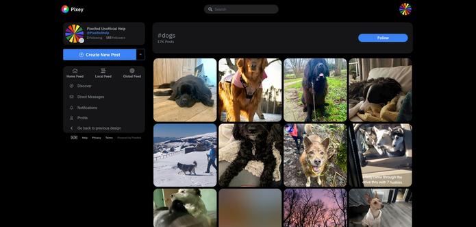 Screenshot of the web interface on Pixelfed, showing the options menus on the left and a grid full of search results for the hashtag dogs, showing lots of pictures of cute dogs.