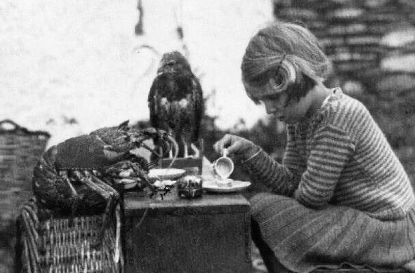 lobster, hawk & young person seated, sharing tea