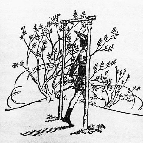 person with pointy cap walking through wooded portal